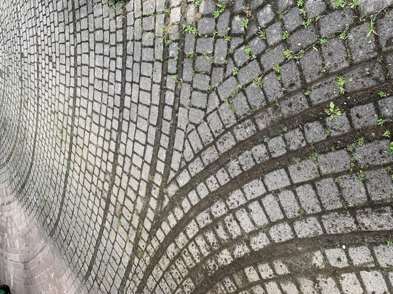 Vorher-nachher Vergleich einer gereinigten Terrasse